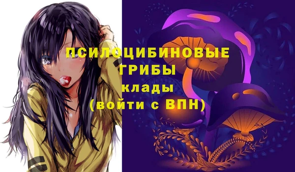 мескалин Арсеньев