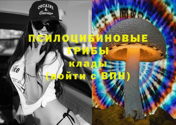прущая мука Аркадак