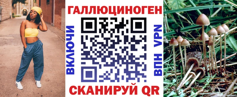 Галлюциногенные грибы Cubensis  ОМГ ОМГ как зайти  Омутнинск  даркнет сайт 